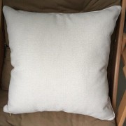 Dragonfly Cushion