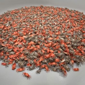 River Crabs by Ai Weiwei