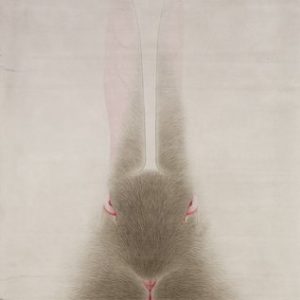 Portrait- Rabbit by Shao Fan