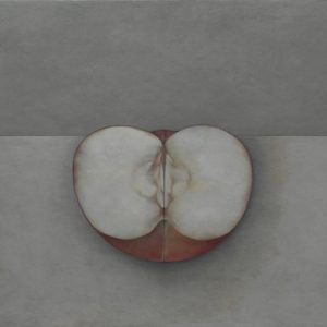 Portrait- Apple by Shao Fan