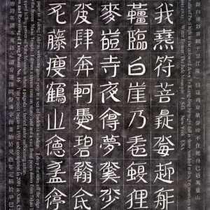 forest of Stone Stele by Gu Wenda