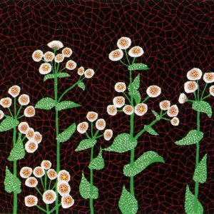 Flowers by Yayoi Kusama