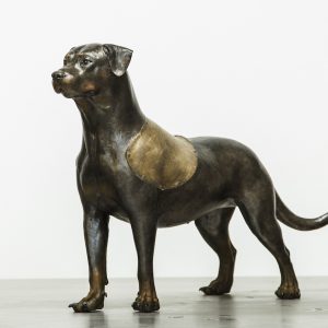 Gaze no. 1 by Li Shengzeng