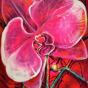 Orchids by Muher