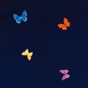 To a Stranger from Love Poems by Damien Hirst