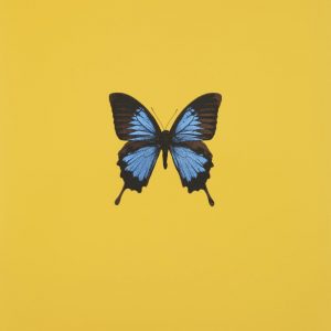 Its a Beautiful Day by Damien Hirst