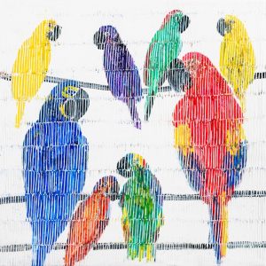 25 Hyacinth Macaw Picul 102x102cm