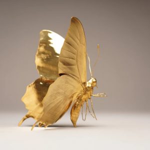 butterfly golden