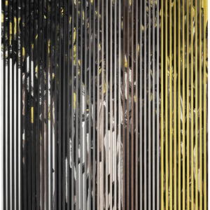 截屏2025-03-23 13.50.58