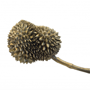 截屏2025-10-30 17.04.13 截屏2025-10-30 17.04.13