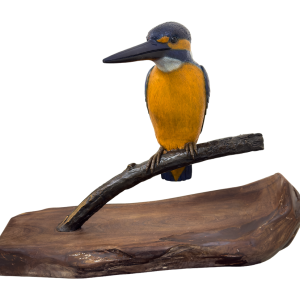 10 StudioK_Kingfisher copy 10 StudioK_Kingfisher copy