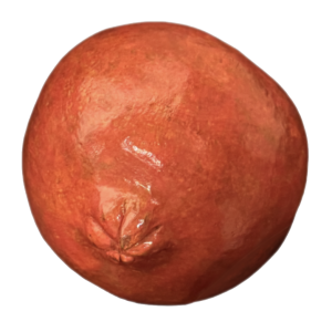 15 Studio K_Delima 15 Studio K_Delima