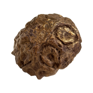 19 Studio K_Have Five 19 Studio K_Have Five