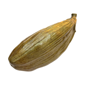 39 Studio K_Solo One