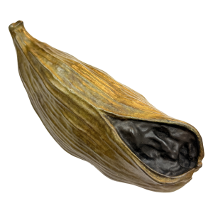 40 Studio K_Solo Two