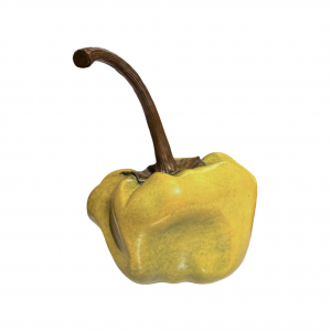 截屏2026-03-07 20.39.15