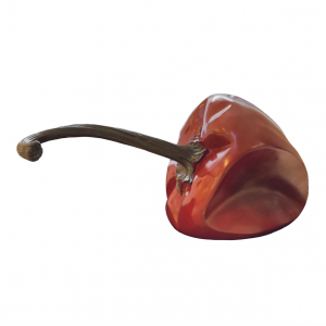 截屏2026-03-07 20.39.52