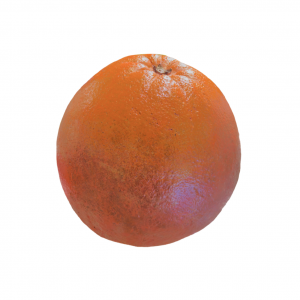 截屏2026-03-07 20.41.30